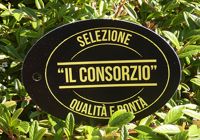CARTELLINO SALUMIFICI-CONSORZI