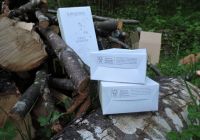 green-friendly-5835