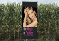 roll-up-e-cartelli-01