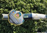 FASCE SALUMI FUSTELLATE