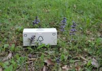 green-friendly-5957
