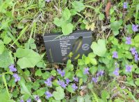 astucci-6110