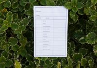 modulistica-04