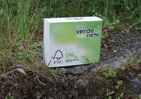 green-friendly-6043