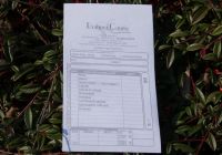 ricevute-fiscali-03