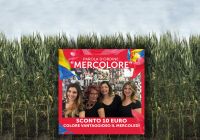 roll-up-e-cartelli-04
