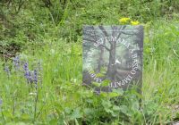 green-friendly-6108
