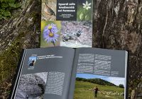 Libro carta ecologica