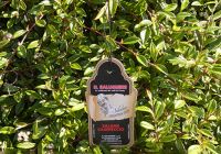CARTELLINO SALUMI CON CORDINO