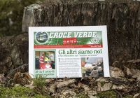 Rivista news