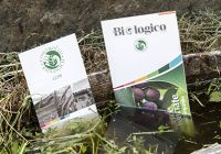 Pieghevoli pubblicitari
