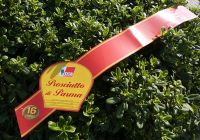 FASCIA PROSCIUTTO DI PARMA