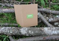green-friendly-6132