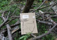 green-friendly-6135