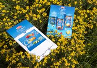Brochure fustellata
