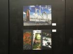 mostra toschi dicemb048