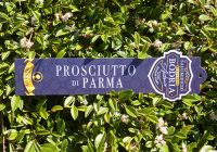 CARTELLINO PROSCIUTTO FUSTELLATO