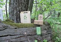 green-friendly-5914