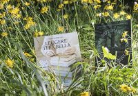 cartelli-vetrina-009
